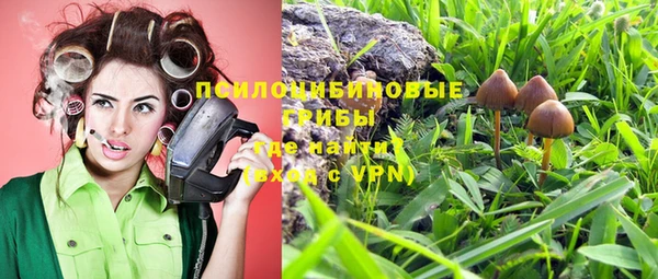 трава Заводоуковск
