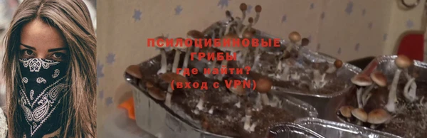 герыч Пестово