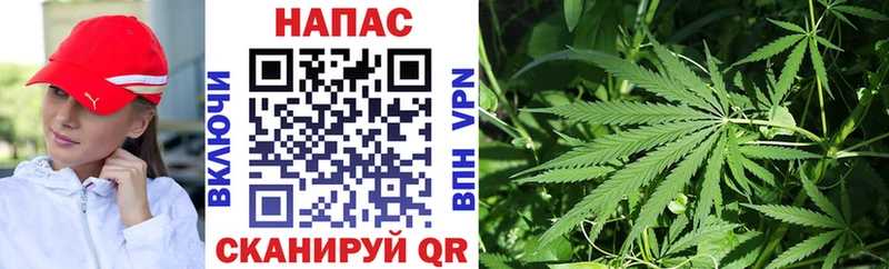 Марихуана планчик  Инза 
